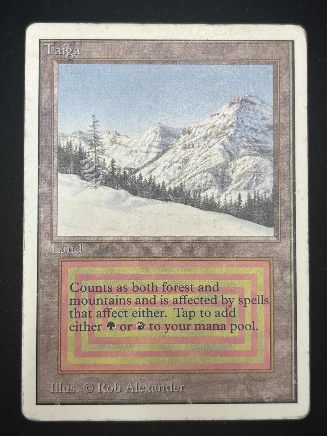 [HPLD+Ink]Taiga《英語》【2ED】#225