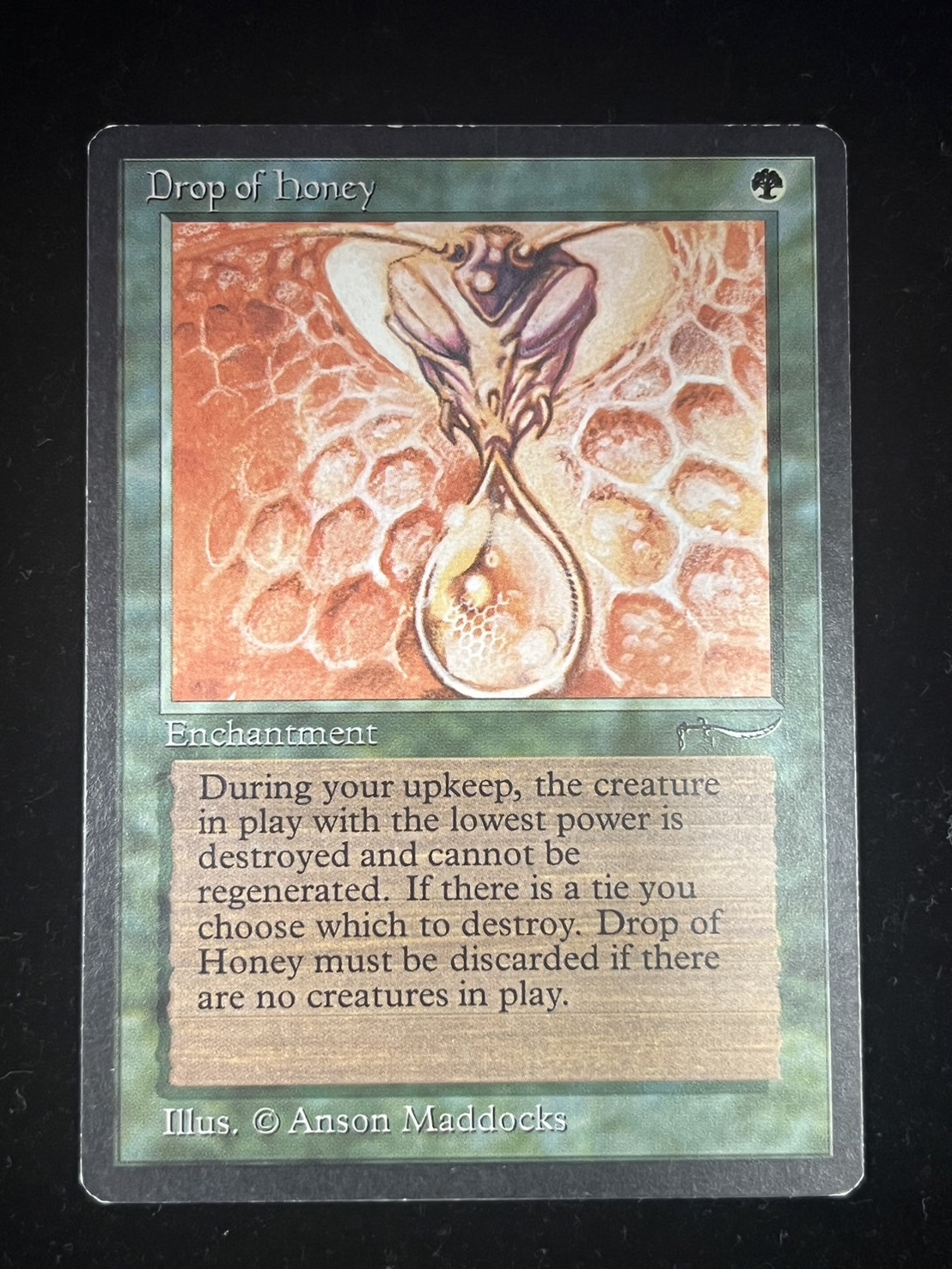 [EX]Drop of Honey《English》 [ARN]#216