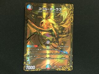 ニコルボーラス