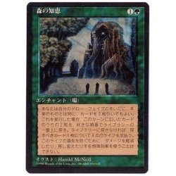 [EX+](black frame) Sylvan Library/Sylvan Library [Japanese] [4ED