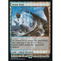 入荷now 買えない 蒸気孔 MTG 旧枠 foil 英語 土地 - 土地