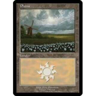 [EX]Plains/Plains [English] [EURO2