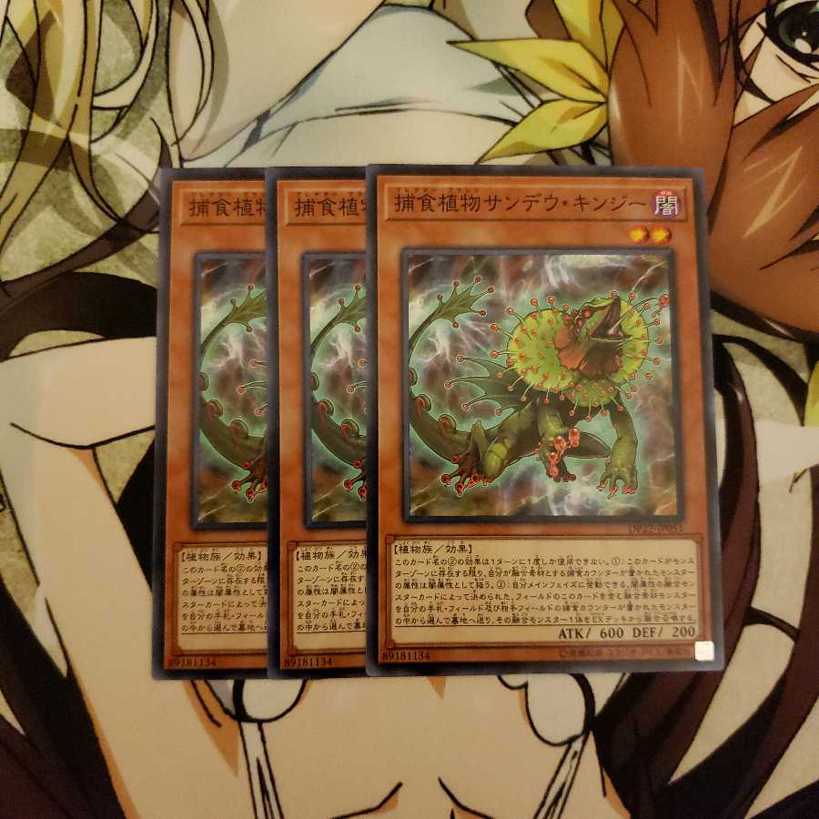 幽霊　捕食植物サンデウ・キンジー