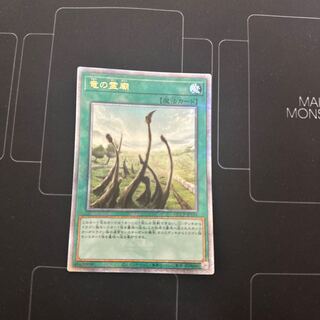 Dragon Shrine QCSE, 25th Sikh QCCP-JP194