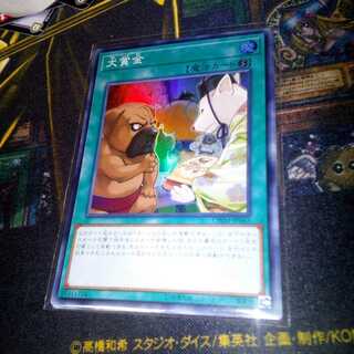 Bownty SR Asian edition with extras