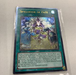 EU版 ゲーテの魔導書