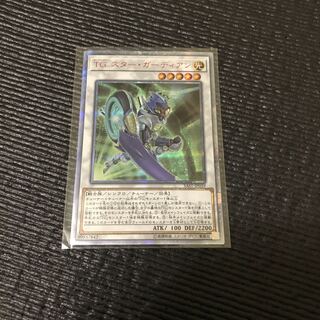 TG スター・ガーディアン 20thSE