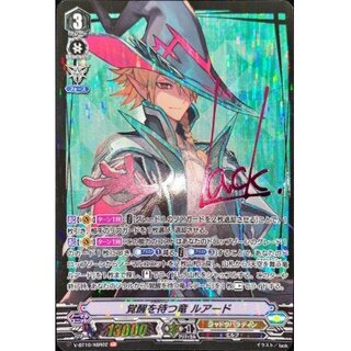 シャドウパラディン　初期　フルレア シャドウパラディン」の激安通販 | magi