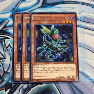 捕食植物オフリス・スコーピオ R