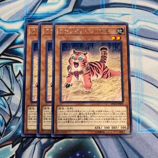 アマゾネスペット仔虎 R