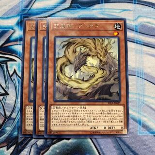 天威龍-アーダラ R