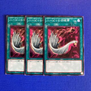 ハーピィの羽根帚 ノーマル JP032