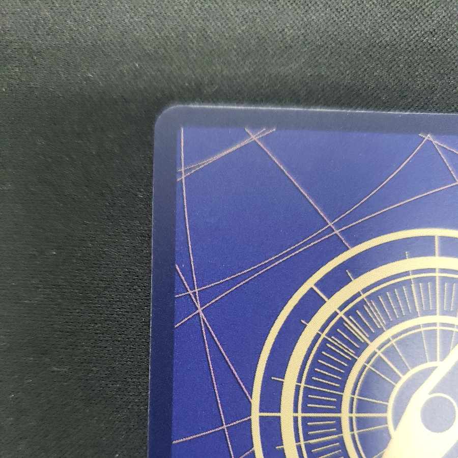 Charlotte Lynn Lynn SR OP03-114