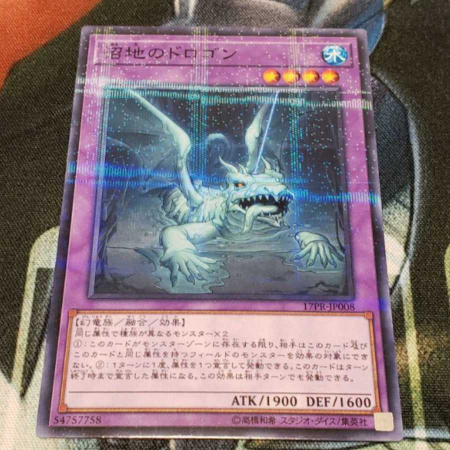 沼地のドロゴン