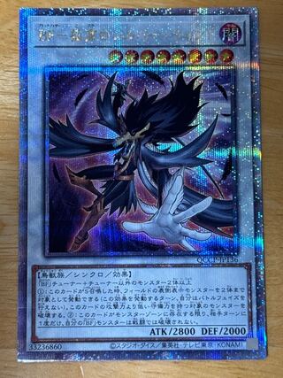 BF-Solitary Silver Wind QCSE, 25th Sikh QCCP-JP136