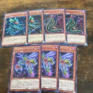 Predaplant Ophrys Scorpio rare JP009 and other sets