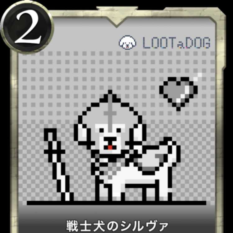 Silva the Warrior Dog