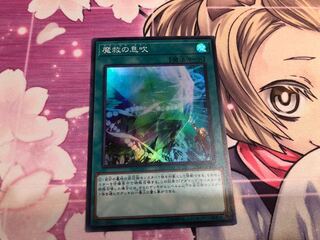 【6/24〆】魔救の息吹 SR