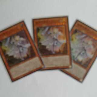 教導の聖女エクレシア SR　3枚セット