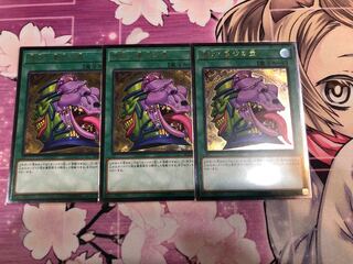 強欲で貪欲な壺 UL 3枚セット