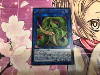 捕食植物ヴェルテ・アナコンダ UR A