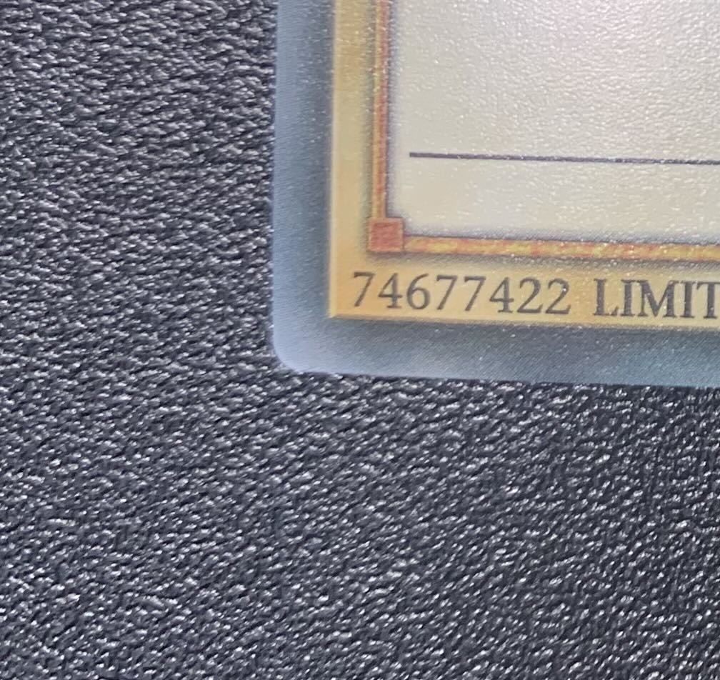 ブルーアイズホワイトドラゴン/レッドアイズブラックドラゴン/ウルトラレア/英語版