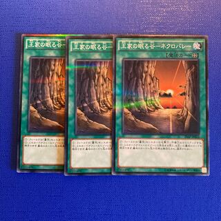 王家の眠る谷-ネクロバレー パラレル ノーマル JP022