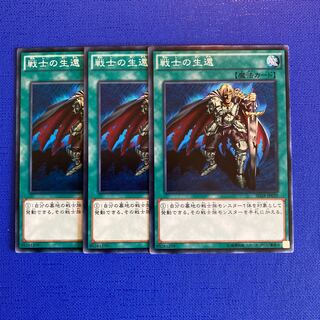 The Warrior Returning Alive Normal JP029