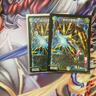 「雷光の聖騎士」