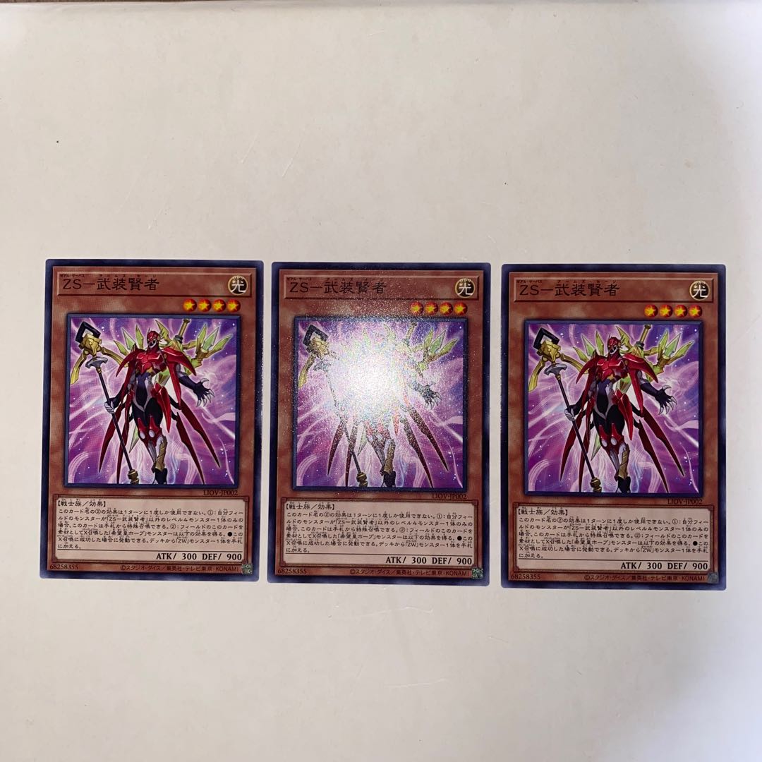 ZS-Armed Sage Normal JP002