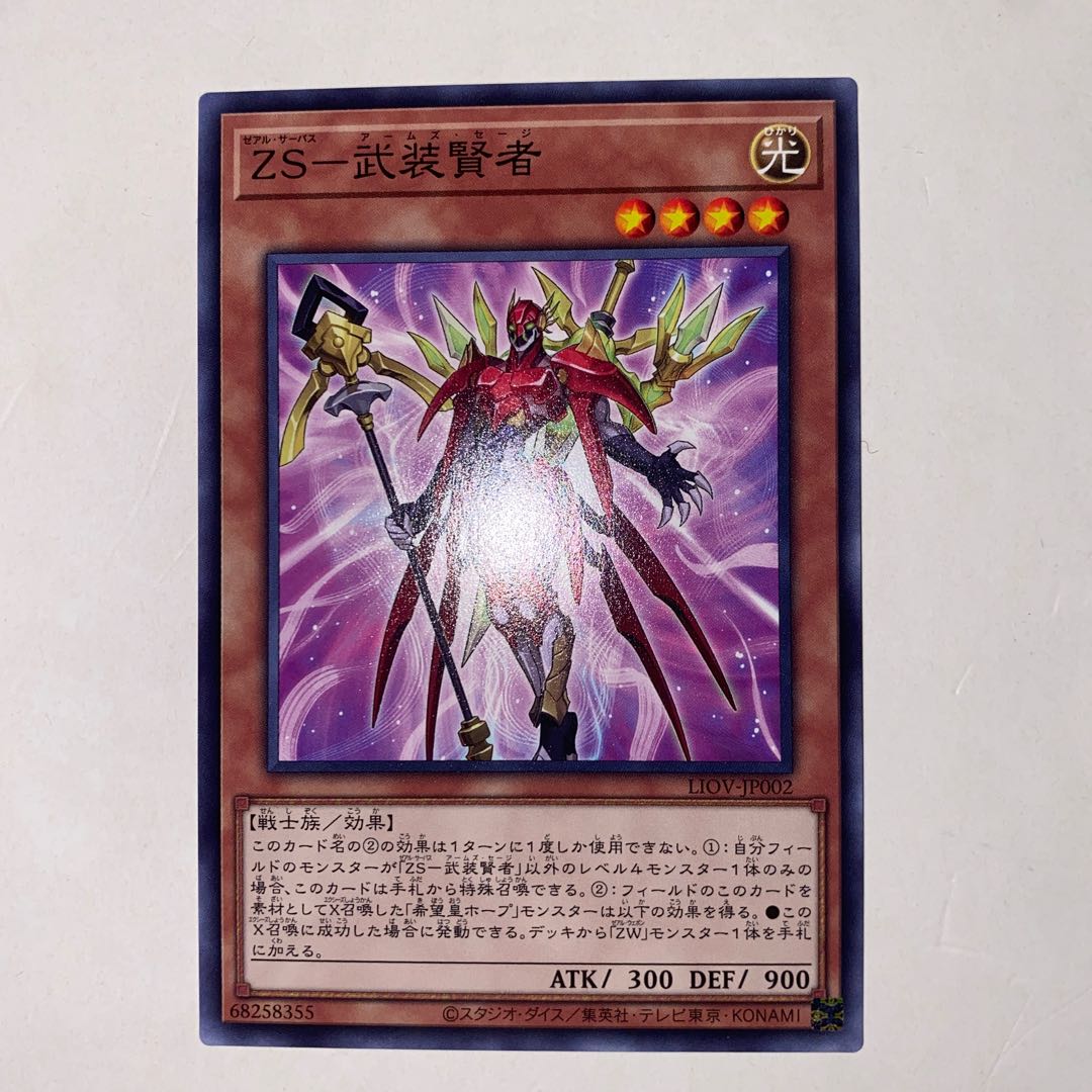 ZS-Armed Sage Normal JP002