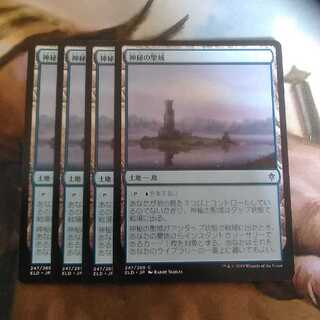 神秘の聖域★日４枚セット★エルドレインの王権