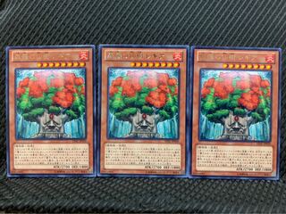 【ぽぽたん】遊戯王 9004 森羅の仙樹 レギア 3枚 レア