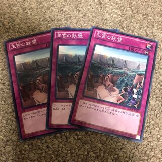 Imperial Iron Wall Normal JP038