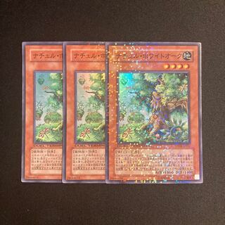 d704 Naturia White Oak Super Rare 3-card set Yu-Gi-Oh!