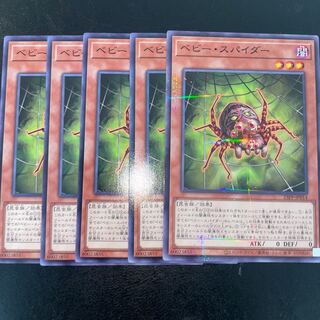 Baby Spider Normal 23PP-JP014 1枚