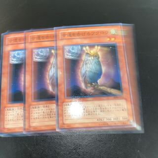 幸運を告げるフクロウ