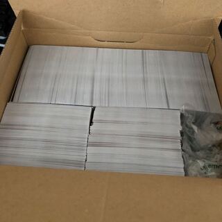 ノーマル　大量