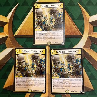 ルクショップ・チェサイズ R 15/93