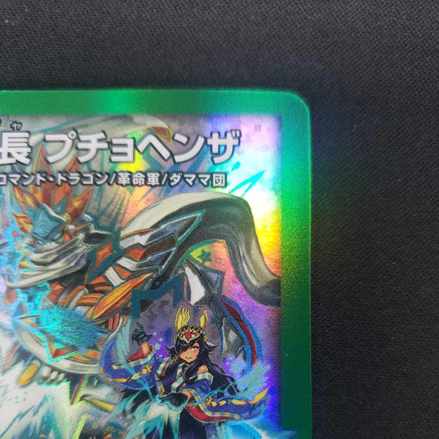 Chief of the Hundred Tribes Puchohenza LEG 1/16