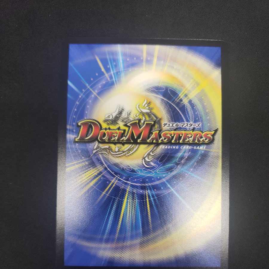 Chief of the Hundred Tribes Puchohenza LEG 1/16