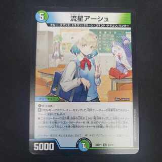 流星アーシュ R 13/16