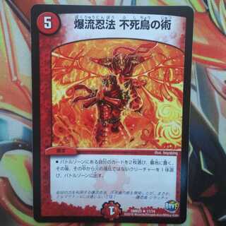 爆流忍法 不死鳥の術