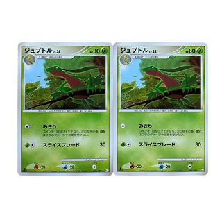 2310 [Pokémon Card] GrovyleLV.28 006/090 ◆ Set of 2