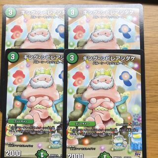 キング・シビレアシダケ