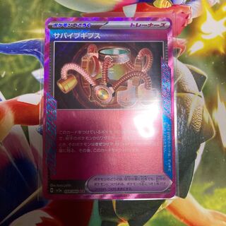 Survive Gips ACE 059/066