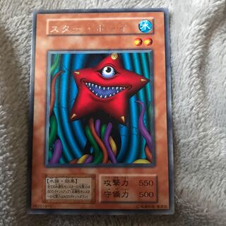 マドレース スター・ボーイ