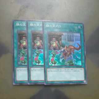 隣の芝刈り スーパーレア JP041✕３　【木林堂】