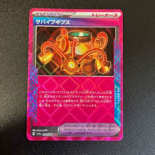 Survive Gips ACE 059/066