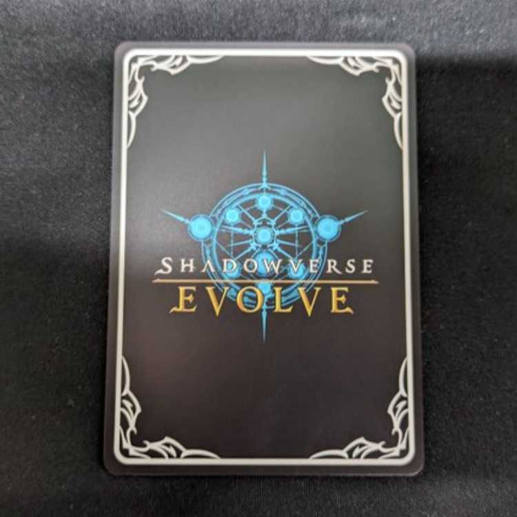 フェアリープリンセス・アリア (SL仕様) PR-051 管理02